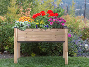 Self-Watering Elevated Cedar Planter (23" x 49" x 30") in a yard with flowers