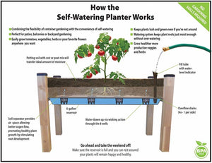 Self-Watering Elevated Cedar Planter (23" x 49" x 30") detailed infographic