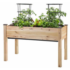 Self-Watering Elevated Cedar Planter (23" x 49" x 30") with plants growing