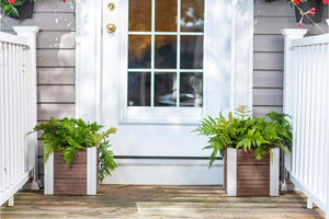 Two Urbana 12” Cube Planters
