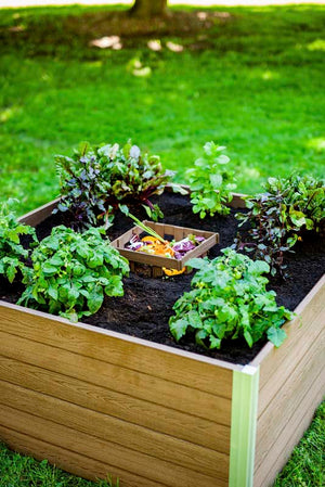 Urbana 4x4 Keyhole Composting Garden espresso