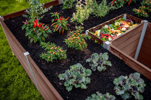 Urbana 6x6 Keyhole Composting Garden Espresso