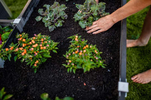 Urbana 6x6 Keyhole Composting Garden Slate