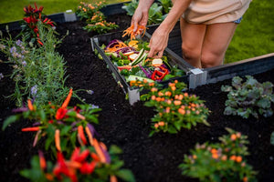 Urbana 6x6 Keyhole Composting Garden