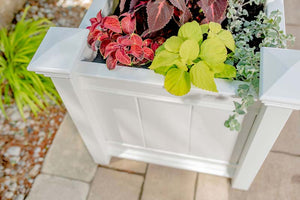 Barcelona Planter Box with flowlers