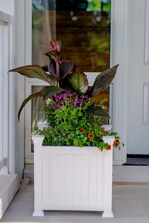 Classic Cardiff Planter Box with flowers