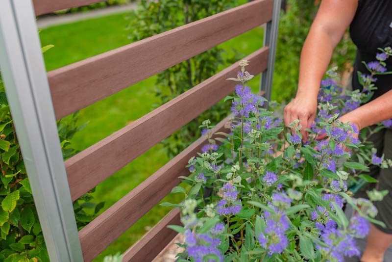 Urbana Small Parklette with Trellis in garden