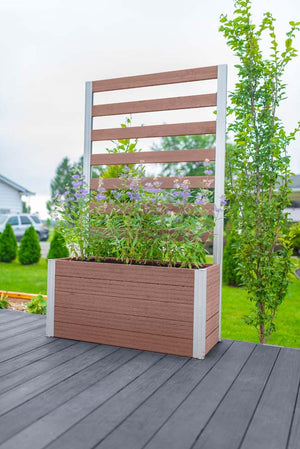 Urbana Small Parklette with Trellis in yard