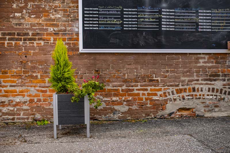 Urbana 17x17 Raised Planter with tree