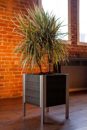 Urbana 17x17 Raised Planter indoors