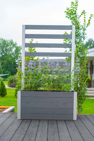 Urbana Small Parklette with Trellis on deck