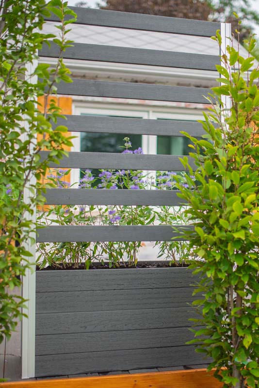 Urbana Small Parklette with Trellis as privacy fence 