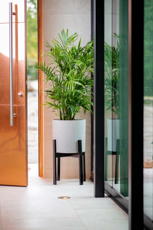 Växa 14” Self-Watering Planter in entryway