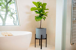 Växa 14” Self-Watering Planter in bathroom