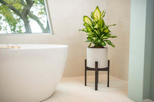 Växa 11” Self-Watering Planter in bathroom