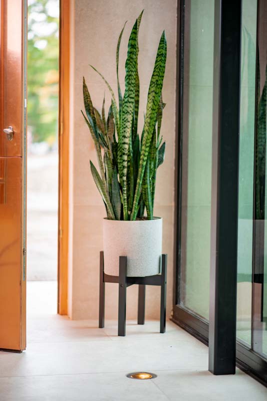 Växa 11” Self-Watering Planter in entryway