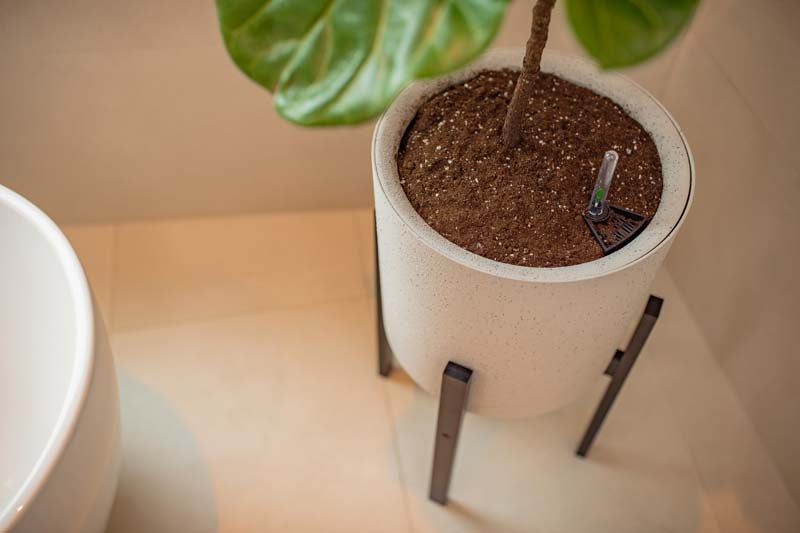 Växa 11” Self-Watering Planter close up