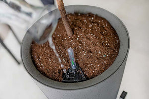 Växa 11” Self-Watering Planter close up