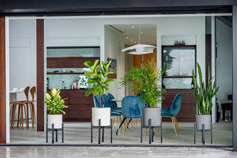 Växa 14” Self-Watering Planter sizes