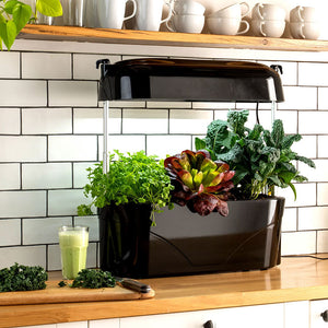 Vegepod Kitchen Garden with grow light