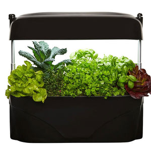 Vegepod Kitchen Garden in Black