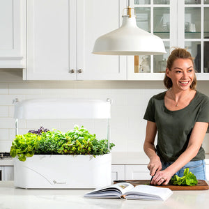 Vegepod Kitchen Garden on kitchen counter