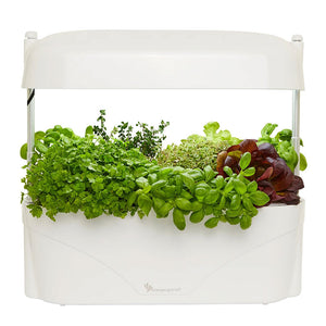 Vegepod Kitchen Garden in White