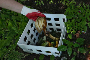 Classic 4x4 Keyhole Composting Garden
