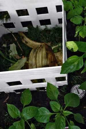 Classic 4x4 Keyhole Composting Garden
