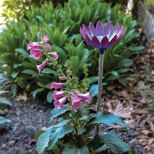 Jazmine Root Waterer in Violet used in a flower bed