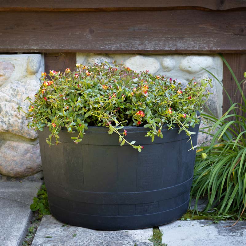 whiskey barrel planter plastic RTS Home Accents Polyethylene Whiskey Barrel Planter for Indoor or Outdoor Gardening, Black (2 Pack)