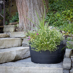 Whiskey Barrel Planter - Black