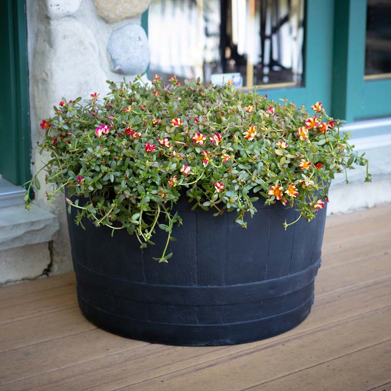 hanging barrel planter RTS Home Accents Polyethylene Whiskey Barrel Planter for Indoor or Outdoor Gardening, Black (2 Pack)