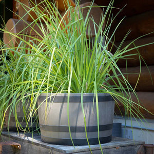 Whiskey Barrel Planter - Woodgrain