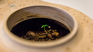 Biovessel Living Composter