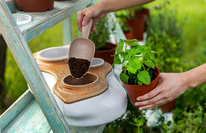 Biovessel Living Composter