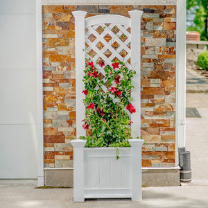 Kensington Planter with Trellis