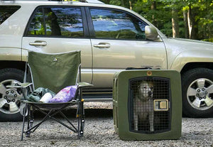 Dog inside G3 Kennel in Olive while camping