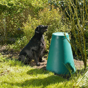 green cone dog