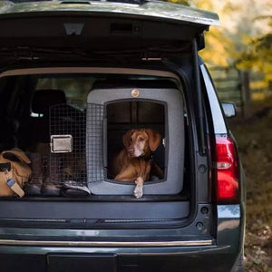 Dakota 283 G3 Kennel in SUV