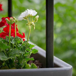 Vertical Live Wall Planter - Extension 