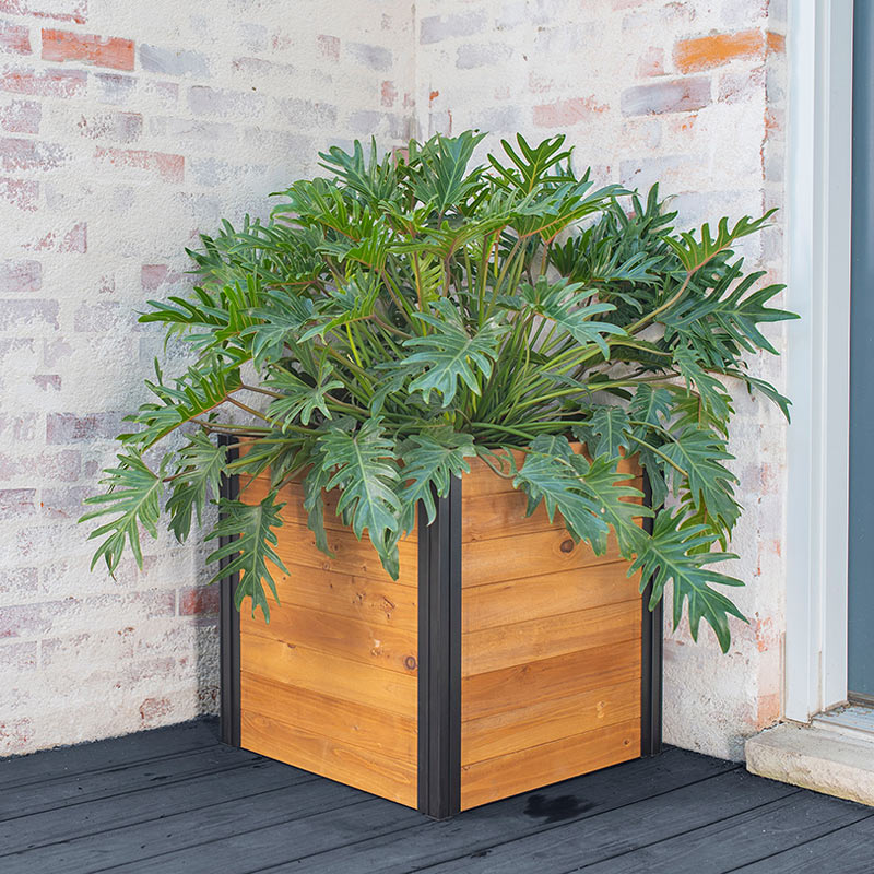 large wood plant pot Mezza 22” Cube Planter