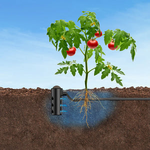 depiction of Root Quencher® Jr watering a tomato plant
