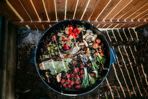 Can-O-Worms - 2 Tray Composter