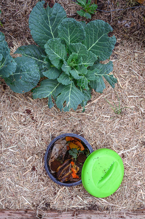 Worm Buffet Composter