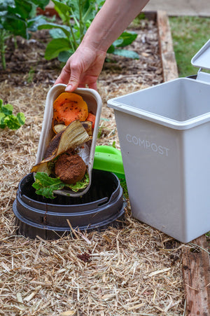 Worm Buffet Composter