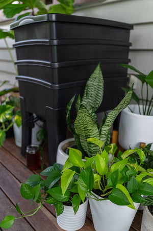 Worm Café - 3 Tray Composter