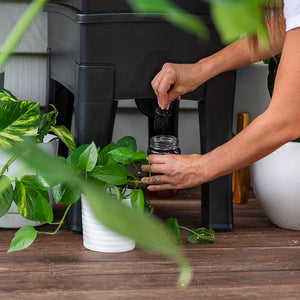 Worm Café - 3 Tray Composter