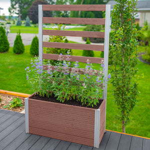 Urbana Small Parklette with Trellis in backyard
