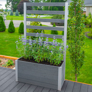 Urbana Small Parklette with Trellis